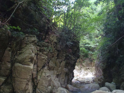 一番降り安そうな場所（出合滝の左岸上）トラロープも下がってるケド・・・・・。