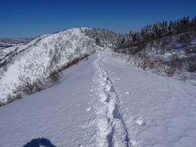こつぶり山へ向かう