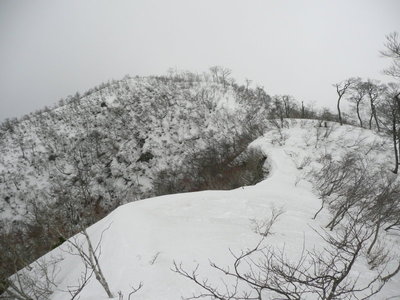 寡雪の2009年3月　神又峰～左千方間の稜線