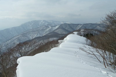 こうでないといけません。去年の猫ヶ洞手前から見た横山岳