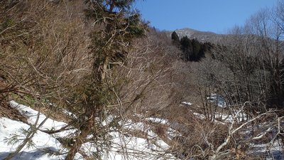 このまま詰めれば上谷山～三国岳の稜線に這いあがれるんだけど