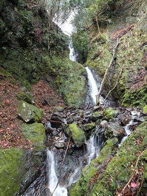 この谷唯一の大滝かな？