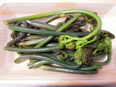 DSCN3738_800.jpg (124.38 KiB) 閲覧された回数 18720 回 今年の初摘みわらび。