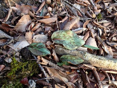 場所によっては足の置き場もないくらいで