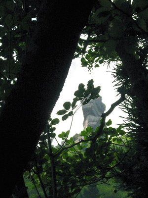 ● 樹の間から覗く恐竜の顔だ