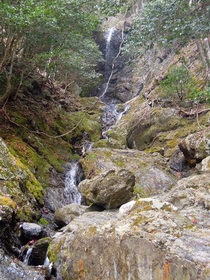 DSCN3636_800.jpg (264.43 KiB) 閲覧された回数 17674 回 大内山川源流の枝谷・天保谷。