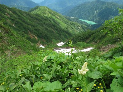 クリックしてみてネ！・・・左上が大倉山尾根