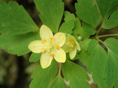 今年も会えて言うことなし