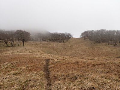 青のドリーネ.jpg (307.62 KiB) 閲覧された回数 5688 回 青のドリーネ