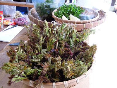 DSCN1483_800.jpg (178.95 KiB) 閲覧された回数 20625 回 昨年の食材の一部。<br />ちなみに、わたしは昨日タラの芽を採取して食しますた(^^)