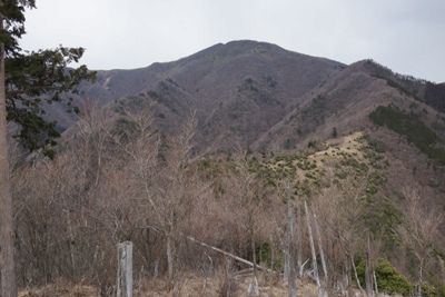 雨乞岳、右の小峰は966m小ピーク