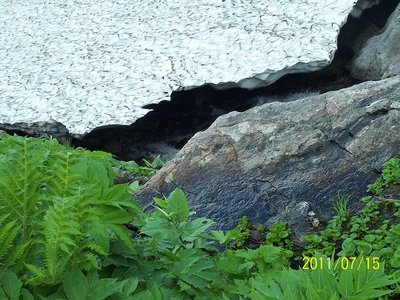 ここの間にザックが落ちてしまった