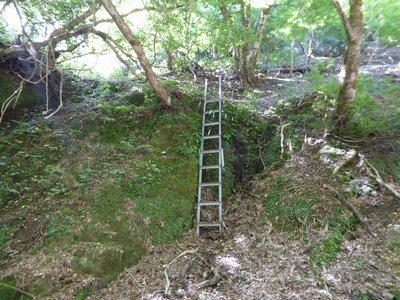 P1020862.JPG (333.94 KiB) 閲覧された回数 7638 回 またまたハシゴです