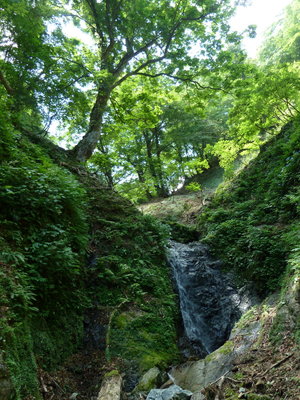 源頭部の滝