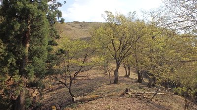 P4300399.jpg (203.83 KiB) 閲覧された回数 7193 回 山頂まであと少しなのに…