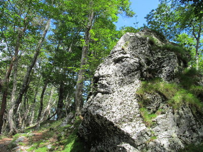 なんか顔に見えるねこの岩