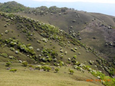 子羊の群れ.jpg (93.01 KiB) 閲覧された回数 6601 回 竜ヶ岳の子羊の群れ(2016/5/15)