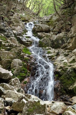 DSC02354.JPG (227.28 KiB) 閲覧された回数 29593 回 地獄谷最大の滝-左側を直登する