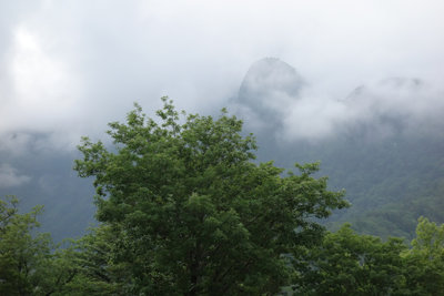 DSC01080.jpg (290.16 KiB) 閲覧された回数 5254 回 和佐又山山頂から日本岳