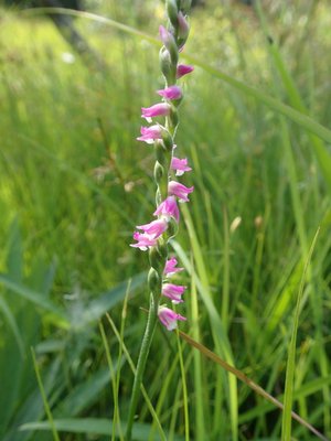 ６月２０日　上野森林公園にて