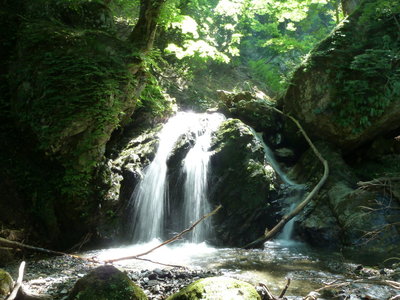 この滝ですね(^^ゞ