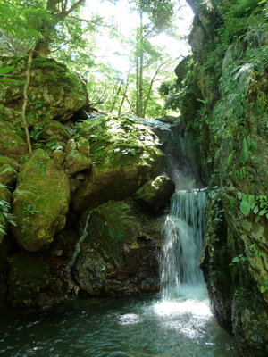 グーさん糞詰まりの滝