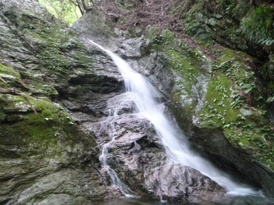 第二支流出合上流の本谷にかかる5m滝