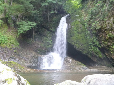 P1050108.jpg (98.81 KiB) 閲覧された回数 6983 回 扇滝10m