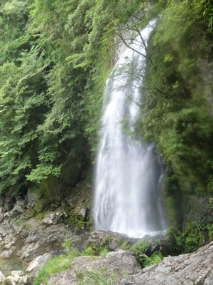 P1050093.jpg (105.6 KiB) 閲覧された回数 6983 回 明神滝30m