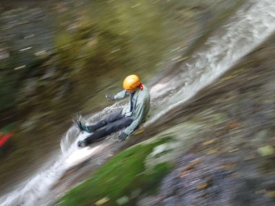 飛び込むグーさん