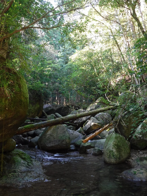 s_03.png (1.47 MiB) 閲覧された回数 11181 回 沢の入り口