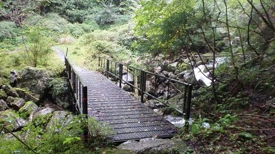 P9240708.jpg (147.14 KiB) 閲覧された回数 26531 回 大又林道終点近くの橋