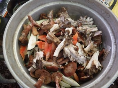 ○イ○ケ・ナラタケ・マスタケ・ブナハリタケ・バカマツタケ・・・