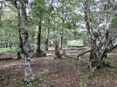 そして誰もいなくなった。グーさんの虫干し中のタープが気持ちよさげになびいています