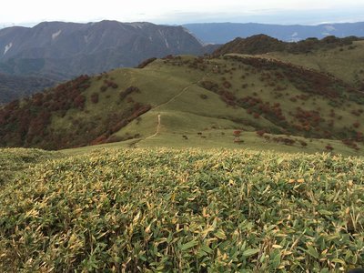 IMG_6382.jpg (353.37 KiB) 閲覧された回数 24444 回 竜ヶ岳