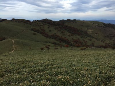 IMG_6364.jpg (314.28 KiB) 閲覧された回数 23972 回 竜ヶ岳