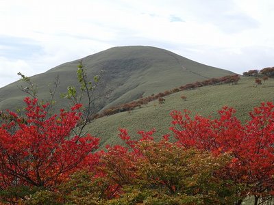 金山尾根手前で