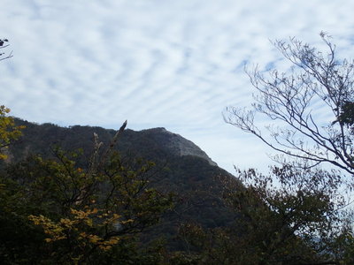 袴腰も風前の灯火