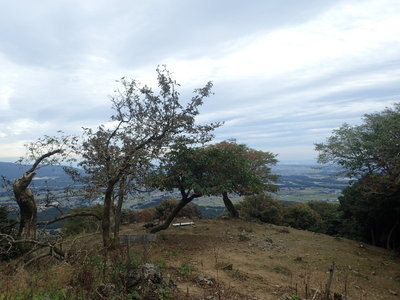 おそらく展望のために木を切ったのだろう