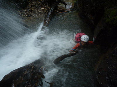 いきなりの水浴