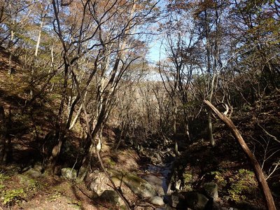 源頭部.jpg (540.35 KiB) 閲覧された回数 8038 回 源頭部