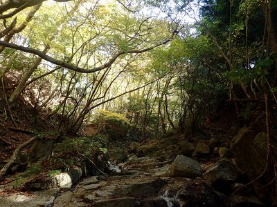 峠への道.jpg (484.34 KiB) 閲覧された回数 8037 回 峠への道