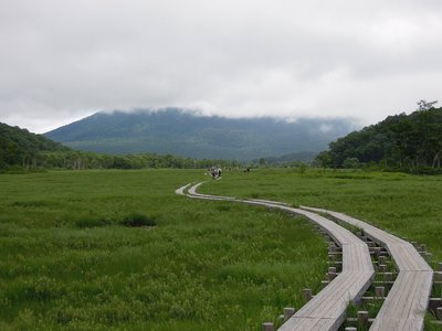 尾瀬湿原.jpg (288.71 KiB) 閲覧された回数 4507 回 尾瀬らいい木道が続く