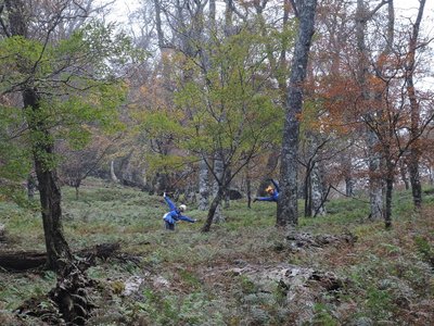 まあ、クマにはクマ（プーさん）の帽子で対応。クマよけの一種でしょうか