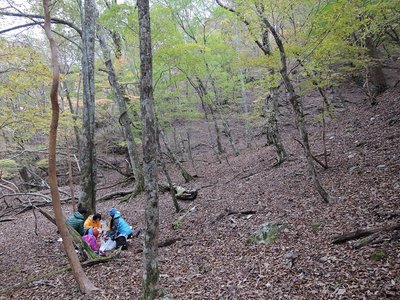 水も近いし平らだし、紅葉も良さげだし、泊適地でした