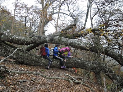 まあ、彼女たちにかかれば巨大遊園地の巨大アトラクションに早変わりです