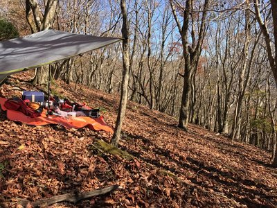 忍者タープ買っちゃった