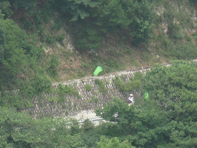 IMG_4074.jpg (153.33 KiB) 閲覧された回数 7769 回 昆虫屋と緑タモ