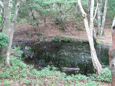 お菊さんはいづこへ