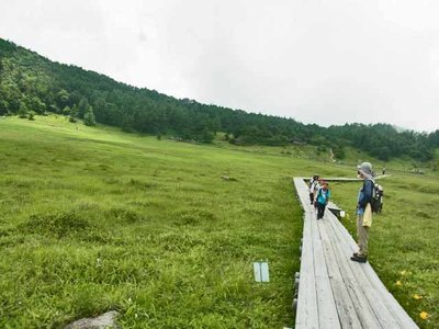 群馬・池の平湿原